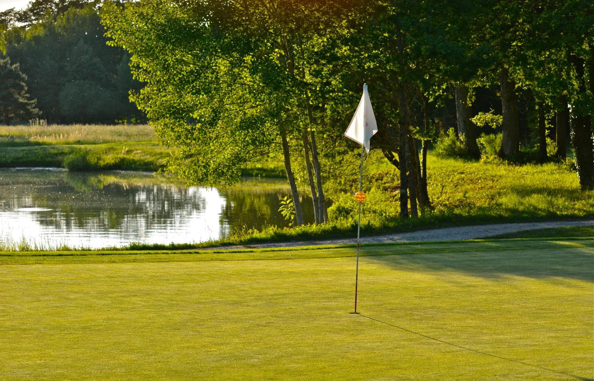 Domaine Du Roncemay - Hotel, Restaurants, Spa & Golf Aillant-sur-Tholon Exteriér fotografie